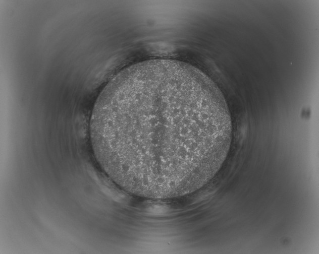 X0000112160658200909041128