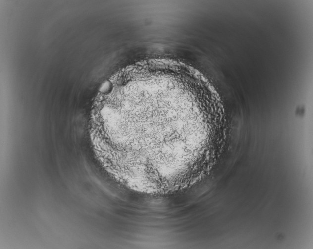 X0000112160659200909041128
