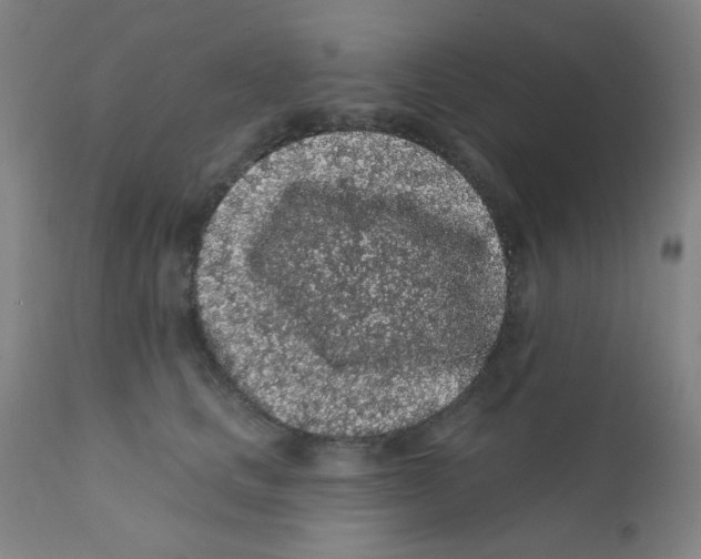 X0000112160661200909041128