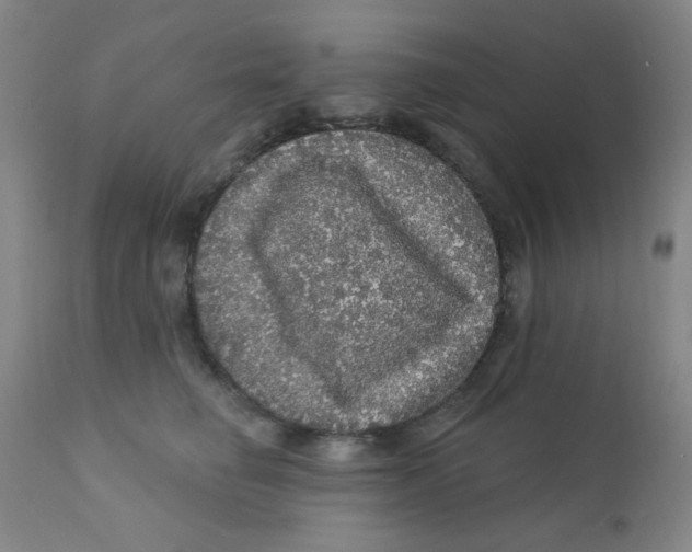 X0000112160662200909041128
