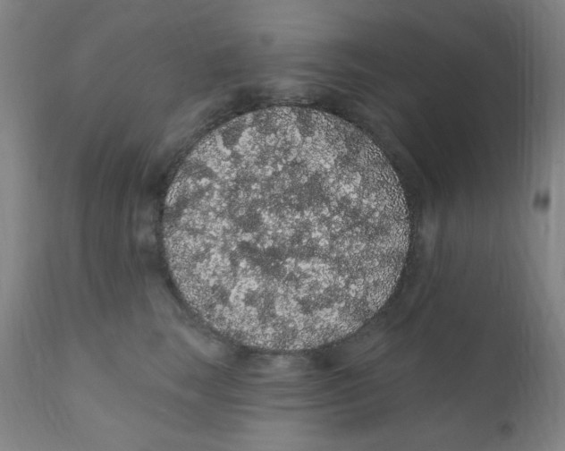 X0000112160663200909041128