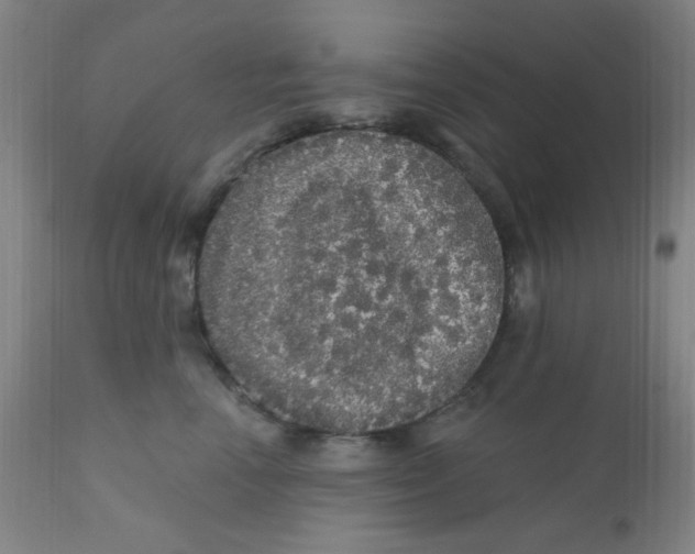 X0000112160666200909041128