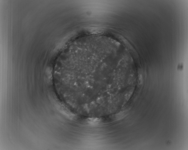 X0000112160667200909041128