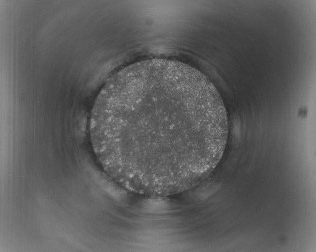 X0000112160668200909041128