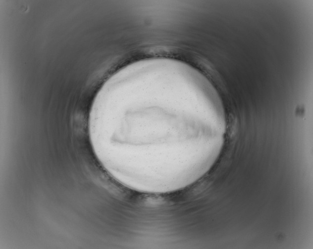 X0000112160669200909041128
