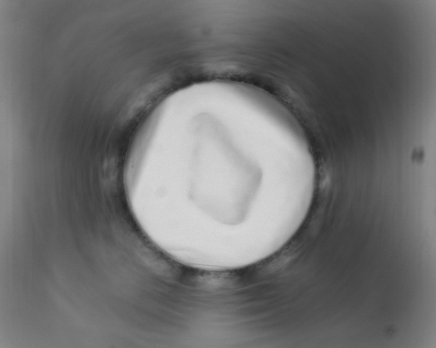 X0000112160670200909041128