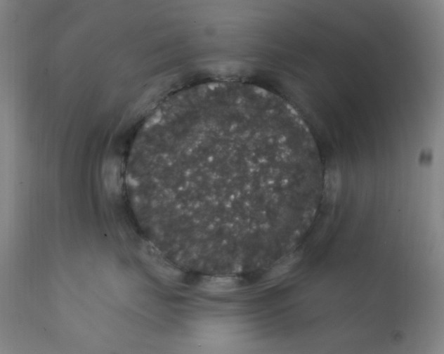 X0000112160671200909041128