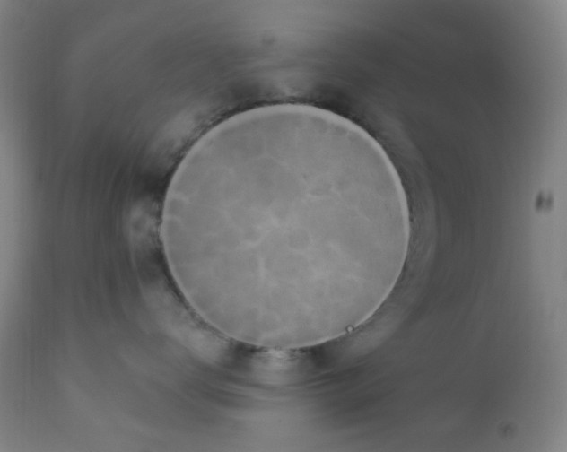 X0000112160672200909041128