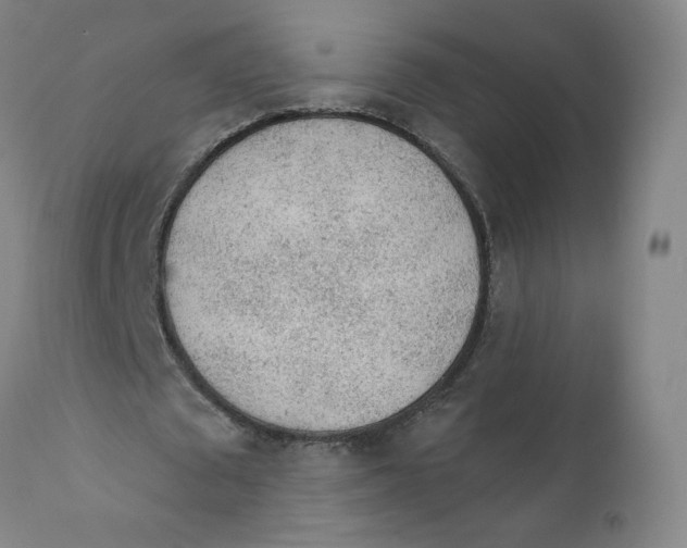 X0000112160673200909041127