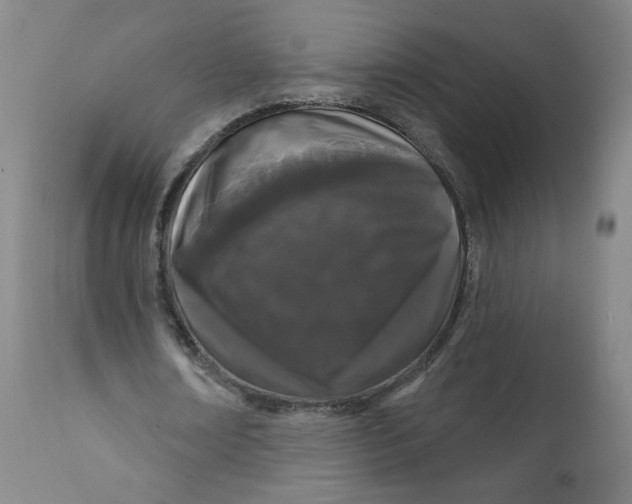 X0000112160674200909041127