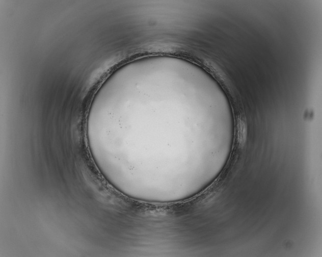 X0000112160675200909041127