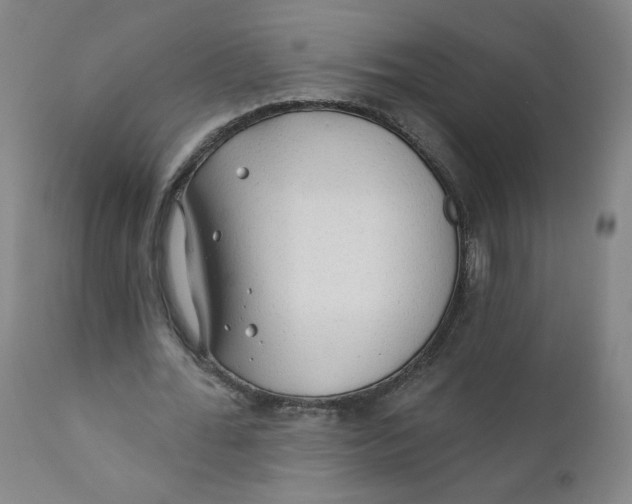 X0000112160676200909041127
