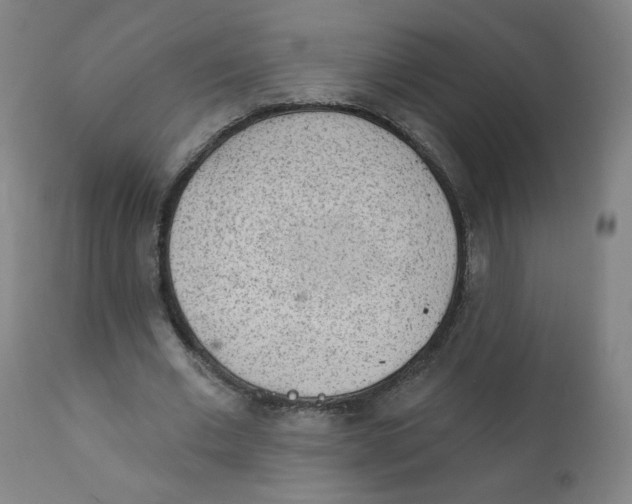 X0000112160677200909041127