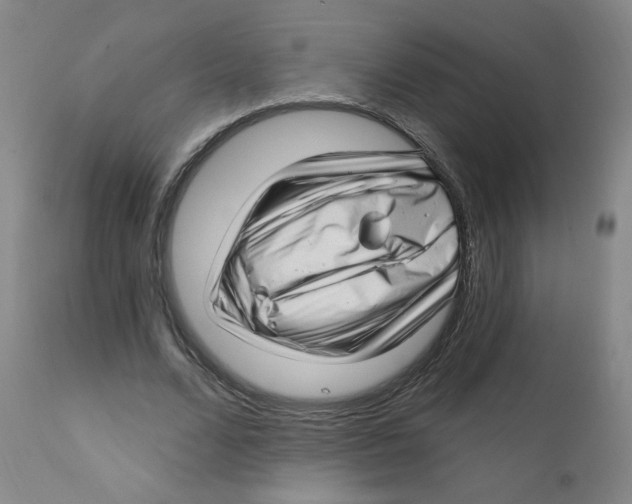 X0000112160680200909041127