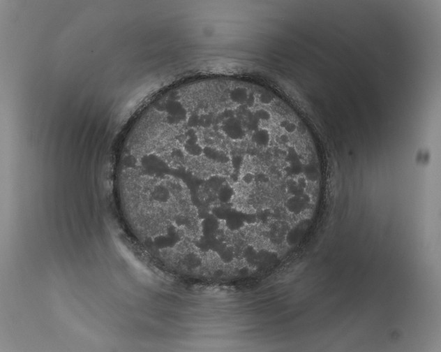 X0000112160683200909041127