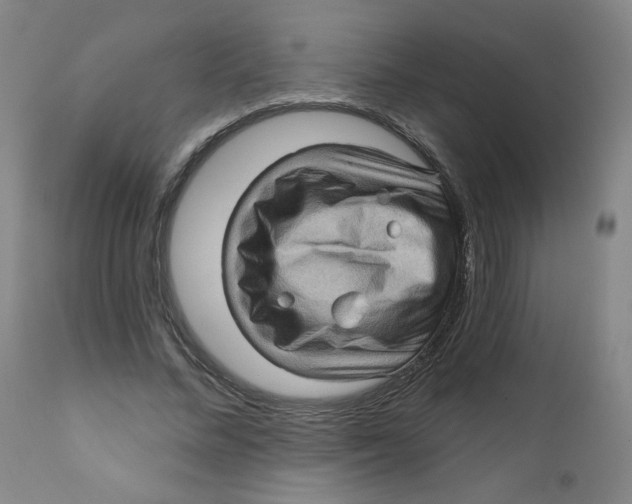 X0000112160684200909041127