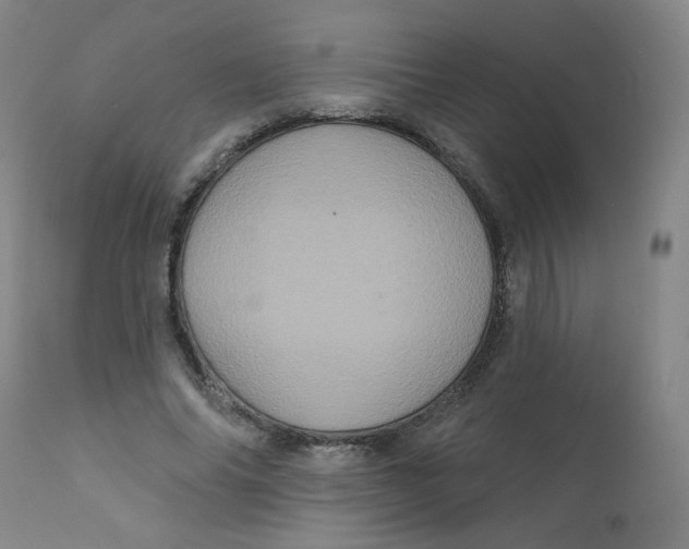 X0000112160686200909041127