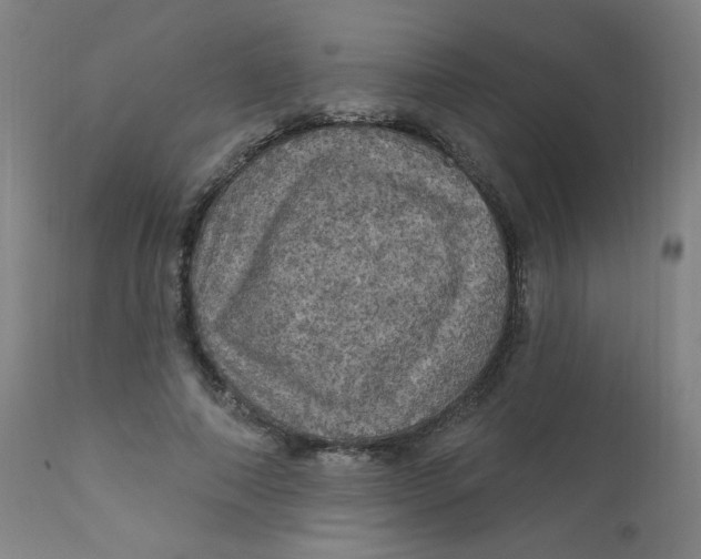 X0000112160690200909041127