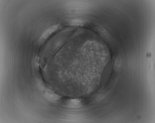 X0000112160692200909041127