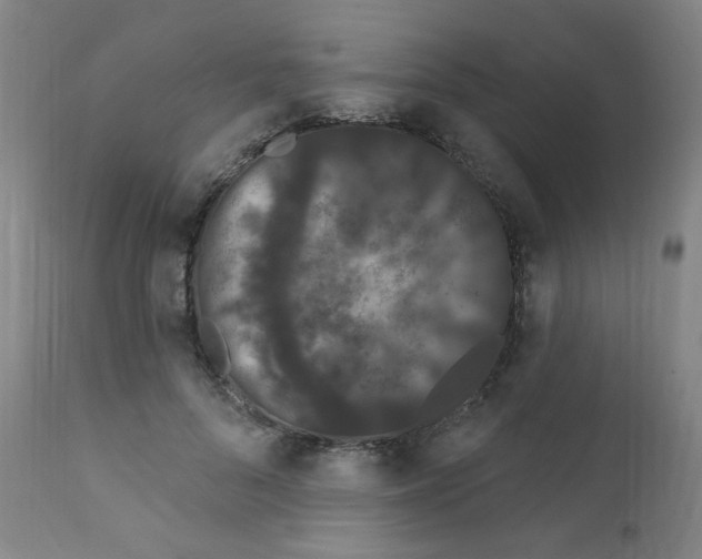 X0000112160696200909041127