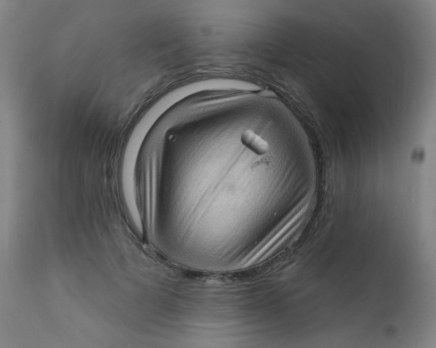X0000112160697200909041127