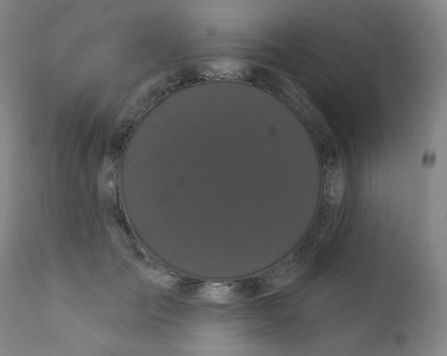 X0000112160701200909041127