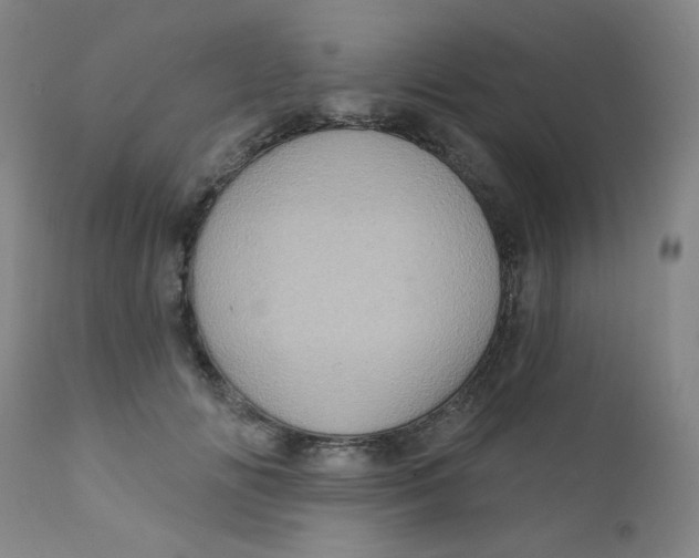 X0000112160702200909041127