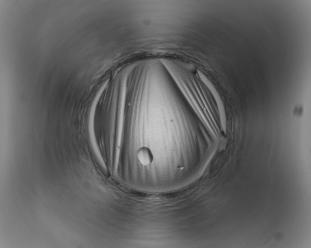 X0000112160704200909041127