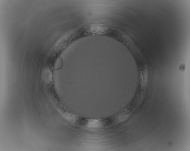X0000112160705200909041127