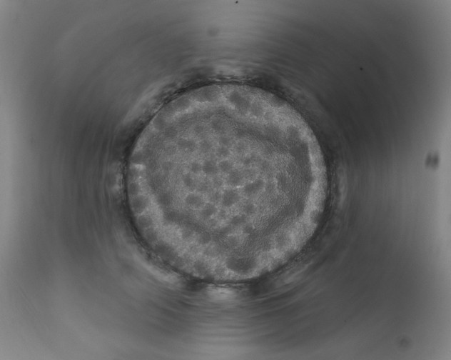 X0000112160706200909041127