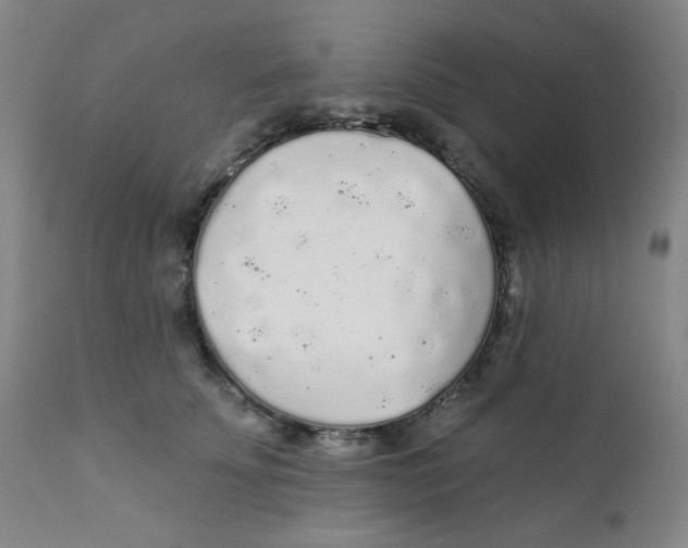X0000112160707200909041127