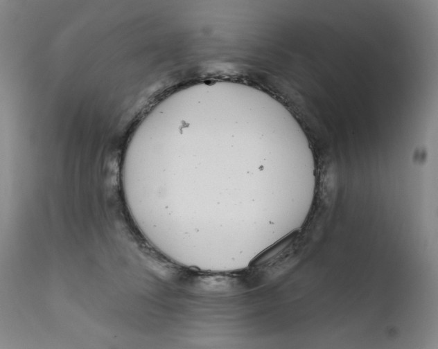 X0000112160708200909041127