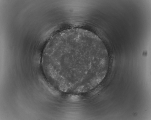 X0000112160710200909041127