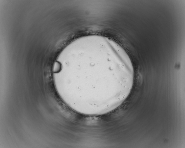 X0000112160711200909041127