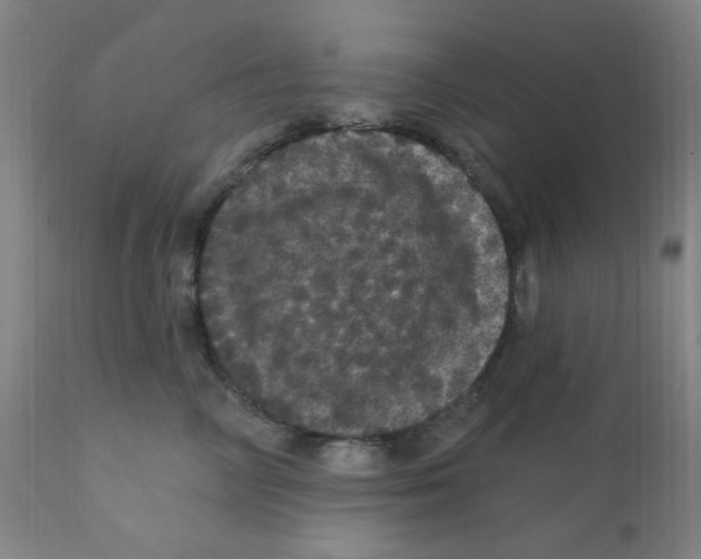 X0000112160714200909041127