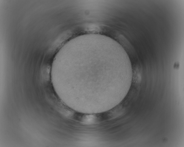 X0000112160717200909041126