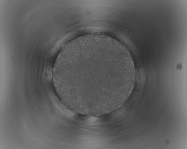 X0000112160718200909041126