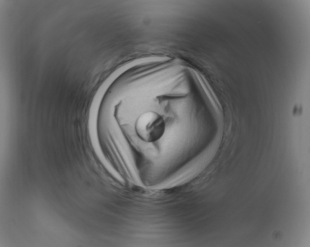 X0000112160720200909041126