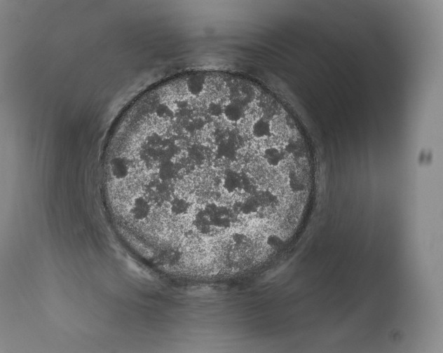 X0000112160721200909041126