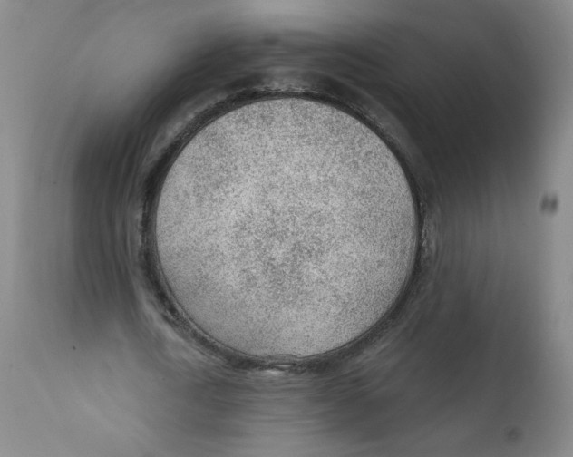 X0000112160722200909041126