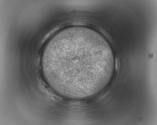 X0000112160723200909041126