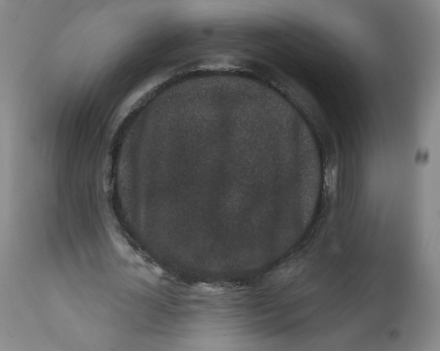 X0000112160724200909041126
