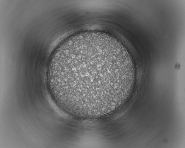 X0000112160725200909041126