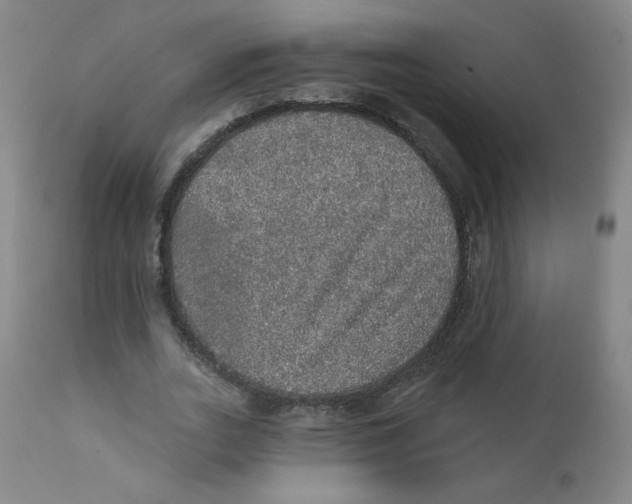 X0000112160727200909041126