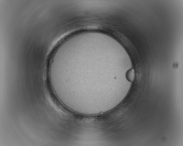 X0000112160728200909041126
