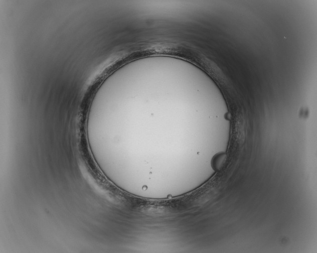 X0000112160730200909041126