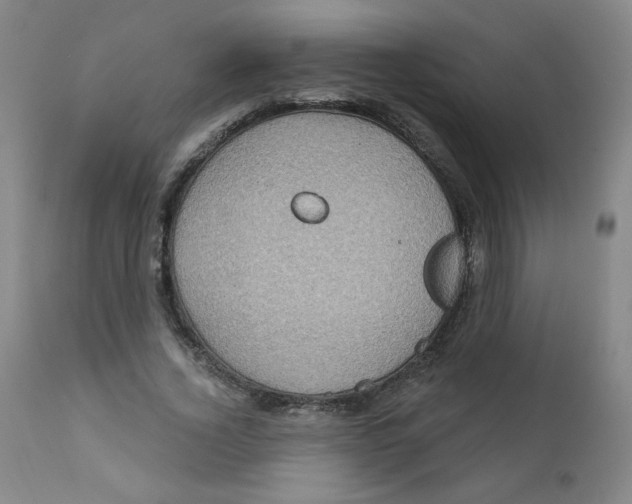 X0000112160732200909041126
