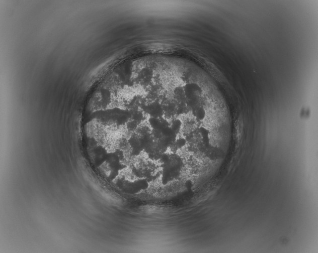 X0000112160733200909041126