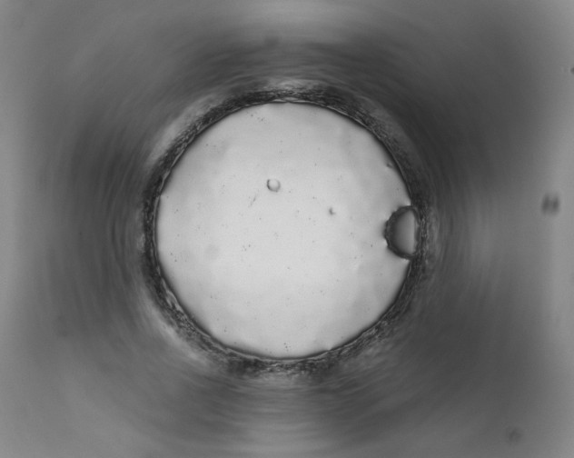 X0000112160734200909041126