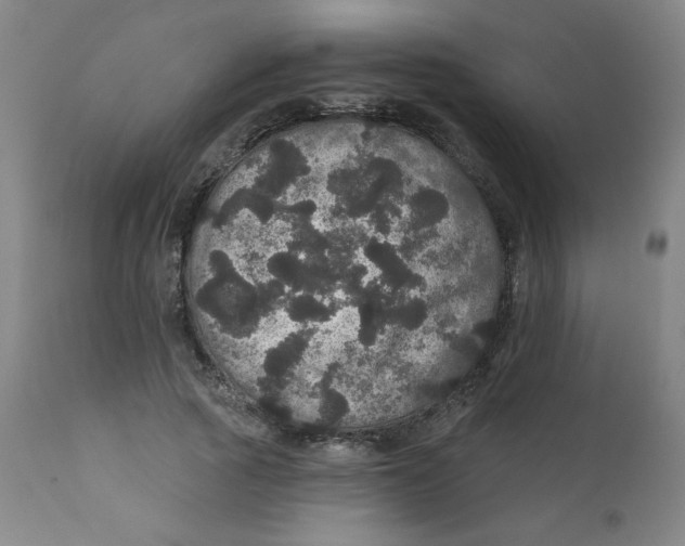 X0000112160737200909041126